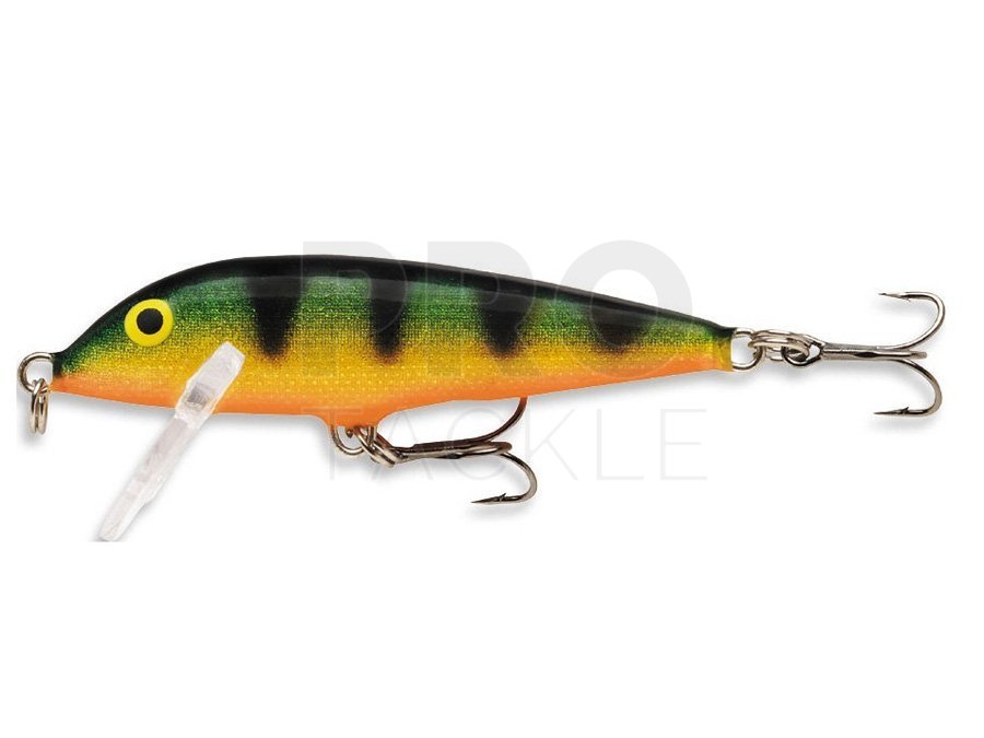  Rapala Countdown 01 Fishing lure, 1-Inch, Brook Trout :  Fishing Topwater Lures And Crankbaits : Sports & Outdoors