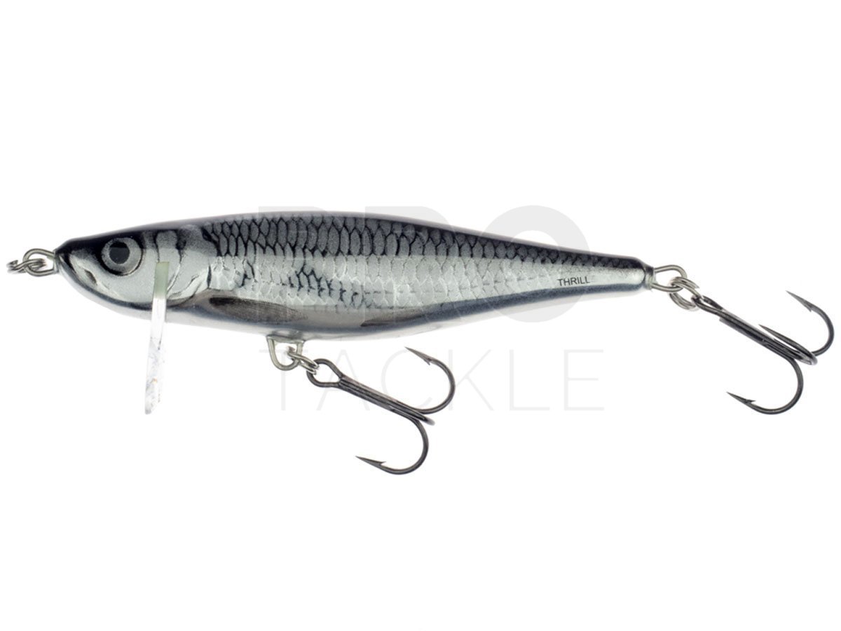 Salmo Thrill review: The best asp fishing lure? Let's try to catch