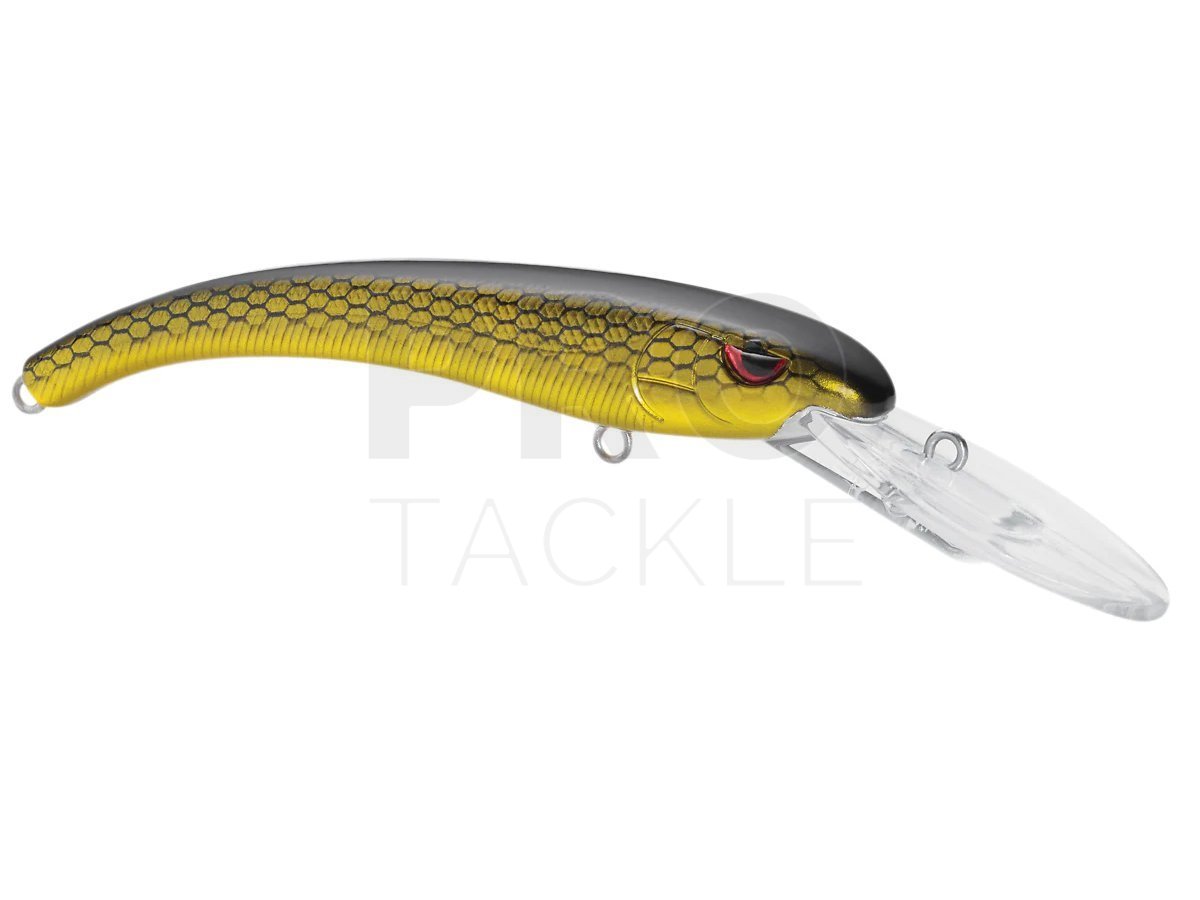 SPRO 2024 hard lures and the new Kinetic brand!