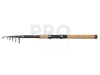 Rod Dam Backbone II Tele 10ft 3.00m Moderate 7sec 50-100g