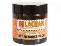 Catfish Fishing Boilies, Pellets - PROTACKLESHOP