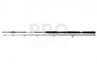 Rod Daiwa BG Offshore Pilk 2.40m 40-125g