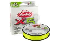 Berkley Braided line X5 Braid Flame Green 300m | 328yd | 0.14mm