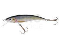 Lure Jaxon HS Nidor 9cm F - R