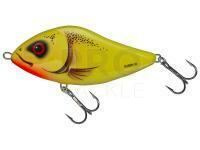 Jerkbait lure Salmo Slider SD10S Chart