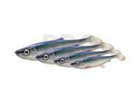 Savage Gear 3D Herring Shad V2