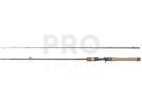 Rod Casting Dragon Flash XC40P LT Cast 21 Fast 1.98m 5-21g