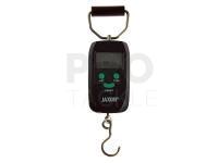 Electronic fishing scale 50kg WAM016