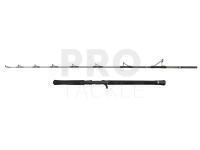 Penn Regiment IV Jig Cast Rod