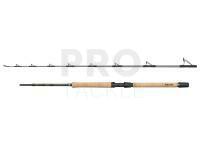 Penn Regiment IV Pro Boat Rod