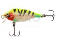 Hard Lure Fox Rage Funk Bug 40mm 4g SR - UV Sun Tiger