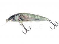 Hard Lure Salmo Minnow M6F 6cm - Holo Bleak