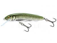 Hard Lure Salmo Minnow M6F 6cm - Olive Bleak