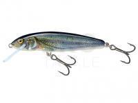 Hard Lure Salmo Minnow M6S 6cm - Spirlin