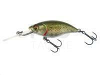 Hard Lure Westin BuzzBite Crankbait 5cm 6g Suspending - Lake Roach