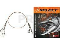 Stainless Steel Leader Wire Select JIG 1x7 20cm 5kg