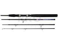 Rod Dega Nordic Seamaster Power Travel 2.10m 80-200g