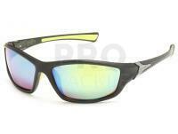 Polarized Sunglasses Solano FL 20056A