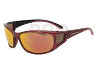 Polarised Sunglasses Solano FL20048F