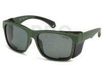 Polarised Sunglasses Solano FL20063D