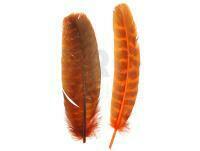 Ozark Turkey Quill 012 - Orange