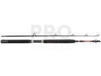 Rod Penn Warfare Boat 1.80m M 30lb 2Sec Conv