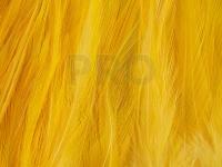 Rooster Saddle Feather - Banana Yellow