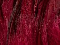 Rooster Saddle Feather - Claret