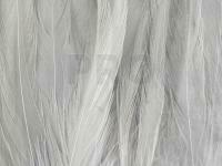 Rooster Saddle Feather - Grey