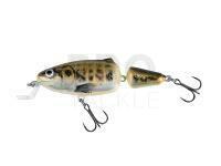 Salmo Frisky 7 SR - Muted Minnow