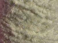 Semperfli EggStatic Egg Fritz 8mm - Cream