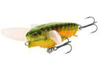 Hard Lure Spro Zuk 3.5cm 4g - Firetiger