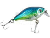 Hard Lure Balzer Colonel UV Striker Crank SR 4cm 4g - Melone