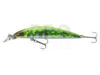 Hard Lure Daiwa Tournament Current Master 93F-SR | 9.3cm 12g - chart back zebra