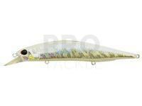 Lure DUO Realis Jerkbait 120SP - AJO0091