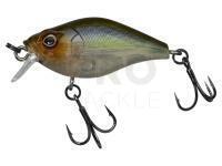 Illex Magic Crank 40 SR - Ghost Minnow