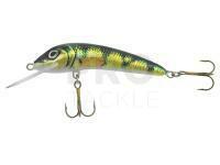 Lure Jaxon Ferox 4 F OA