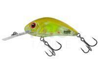 Lure Salmo Hornet Rattlin H3.5 - Clear Ayu