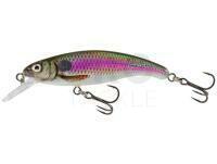 Lure Salmo Slick Stick 6cm - Spot Bait (SB)