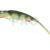 Qubi Lures Syrena ONYX Vert 20cm