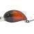 Zipbaits Woblery Baby Hickory SR