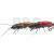 Microbait Hard lures Stictoleptura Rubra